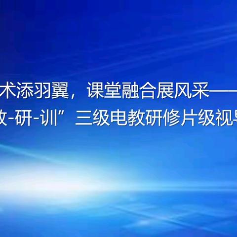 信息技术添羽翼，课堂融合展风采——“教-研-训”三级电教研修片级视导活动