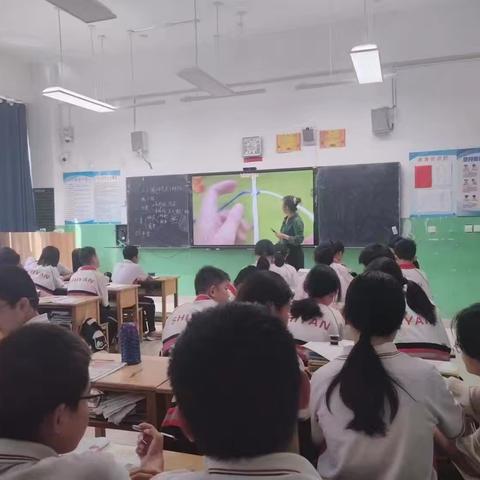 全环境立德树人·至真校园建设“党建引领 辉煌实验”之“三联三带”品牌活动创建——“示范引领，携手同行”党员教师张清莉老师先锋示范岗模范带头课