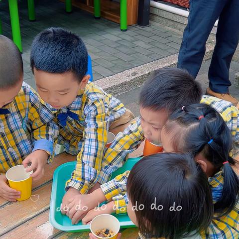 万象润禾幼儿园第十一周幼儿花絮