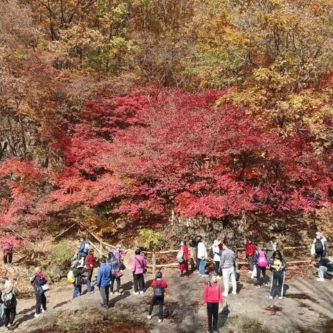 沈阳军休“关门山一日游”