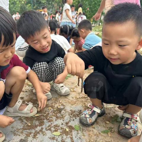 你好，蚯蚓———中五班班本课程