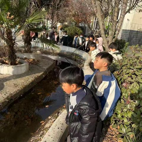 中五班班本课程——《小动物过冬》