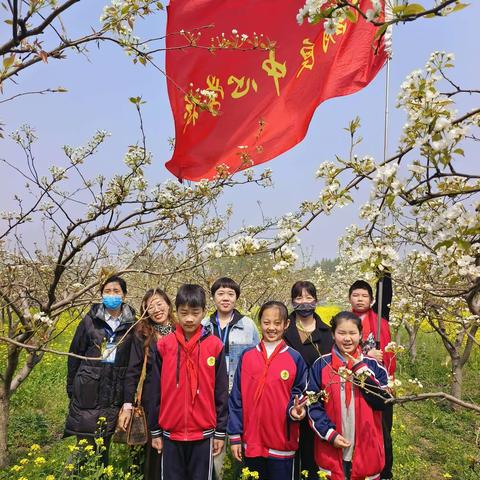 扬劳动之光 为未来赋能——下胡良中心学校参加涿州市首届中小学生劳动技能竞赛纪实