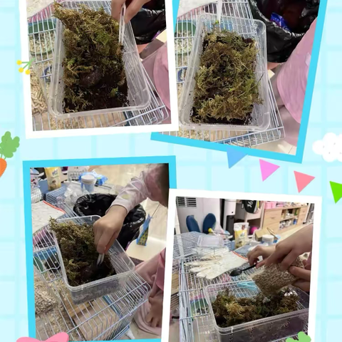 建造蜗牛﻿的家