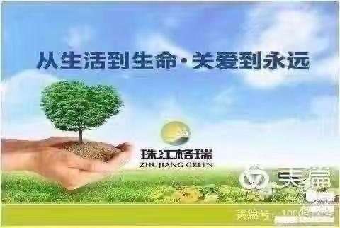 【海口市政务中心项目】一月第一周“美丽珠江格瑞”活动