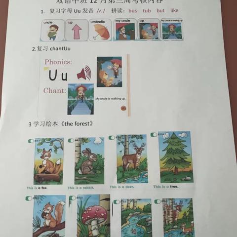 双语中班12🈷️第三周考核