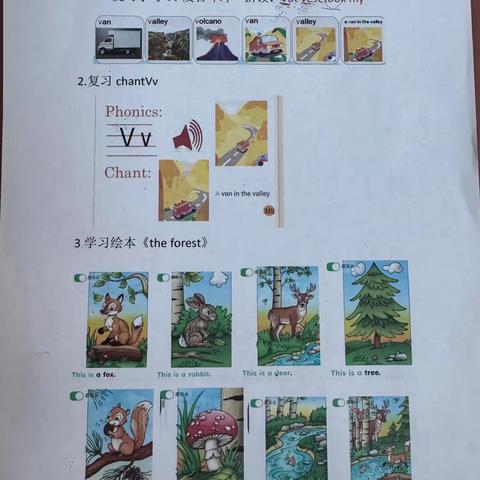 双语中班12月第四周考核