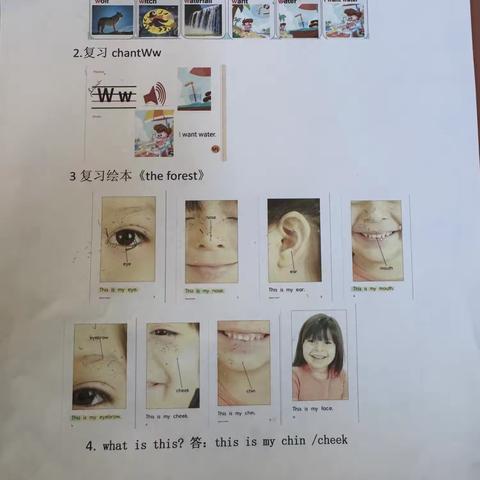 双语中班1月第一周考核