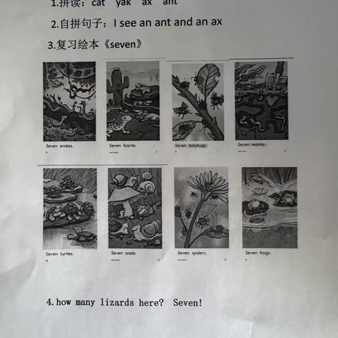 双语中班2🈷️第二周考核