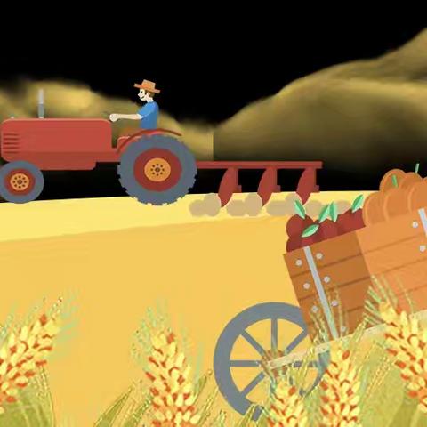 “不留余‘粒’，不负‘食’光”——崖州区曙光小学开展世界粮食日主题系列活动