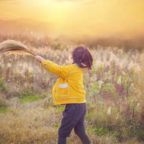 实幼小六班落地式家长——第五期阅读讨论活动