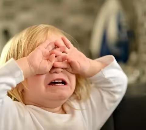 实幼小六班落地式家长——第七期阅读讨论活动