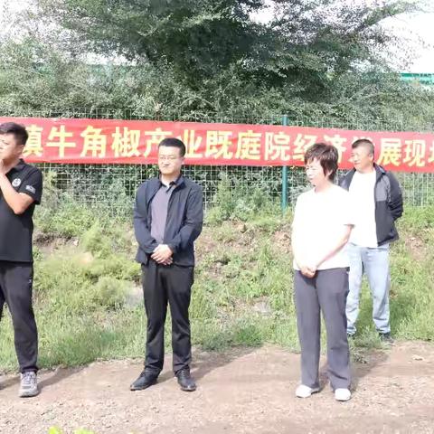 观摩交流拓思路 互学共进谋发展——新林镇开展牛角椒产业暨庭院经济种植发展现场会