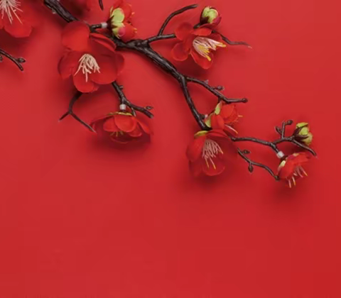 【杜城街道省直机关三爻西社区】多方联动  汇聚“暖冬行动”