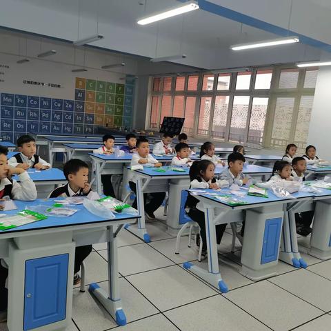 镜泊路小学二年级2班鲨鱼社团STEM主题科学课程“吃饭时间到”剪影