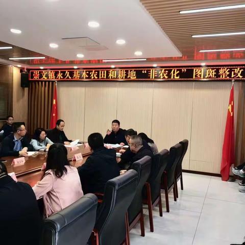 崇文镇永久基本农田和耕地“非粮化”“非农化”图斑整改工作推进会