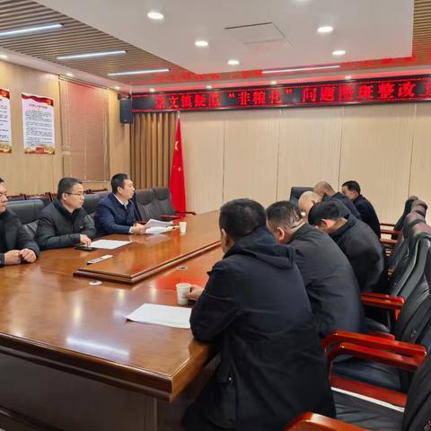 崇文镇疑似“非粮化”问题图斑整改工作推进会
