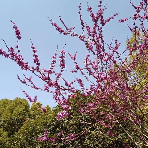 电科院看望慰问离休干部，送上殷殷关怀之情