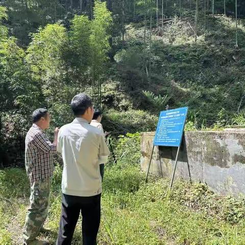 莘口镇河长办与区河长办联合开展水资源供水使用保护巡查