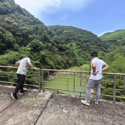 守护碧水清流 —— 莘口镇河长积极推进水域生态保护