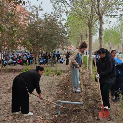 《除草修埂——小学语文教研组的春日劳动》