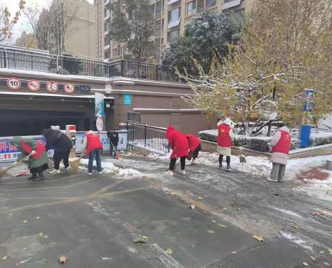 党员齐上阵 清雪保安全