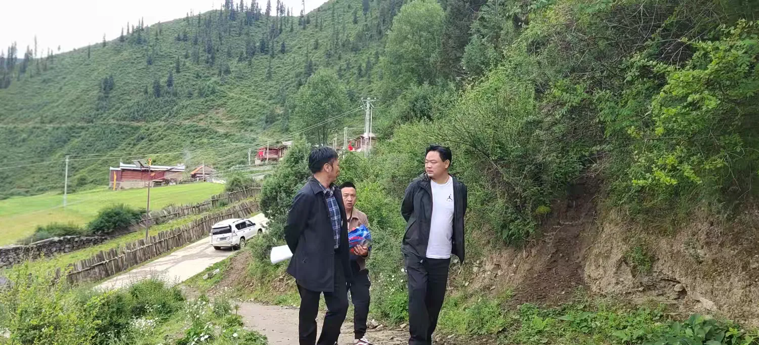 简篇-卡娘乡近期工作动态