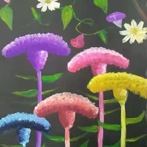 鸡冠花与牵牛花