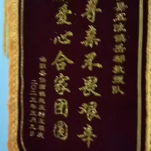 共创真善社会 助力照亮归途——汤阴岳都义警队