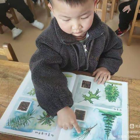 早期阅读的养成——吴滩实验幼儿园合利中班