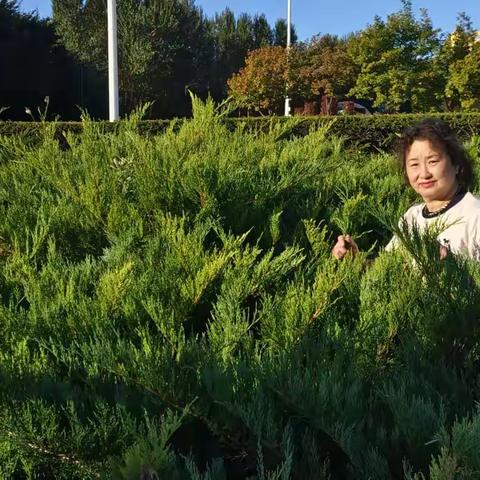 镜头下的风华自然诗篇：我的户外摄影、晨练的生活