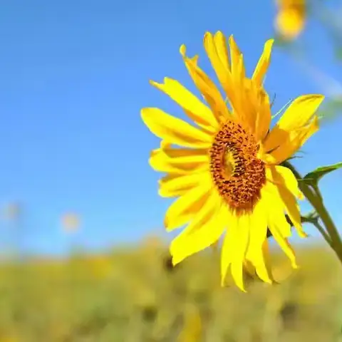金水大厦管理处第一季度简报