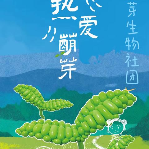 六(2)班多彩校园生活
