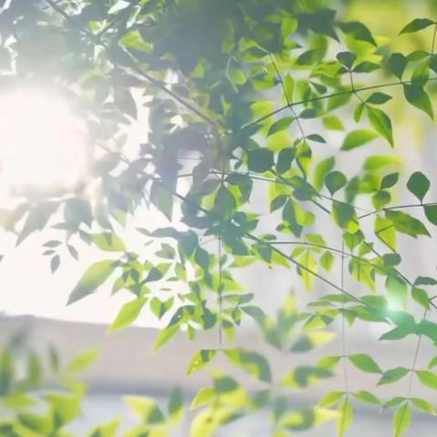 贝贝宝幼儿园 推广普通话活动