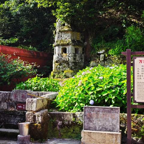 山水一城，踏春赴约——2025年洋泉镇中心学校教职工春游活动