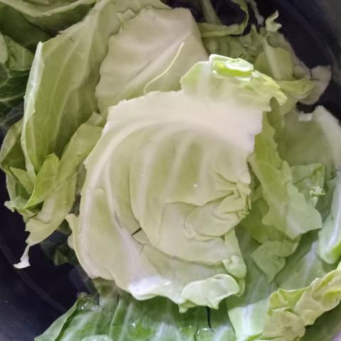 手撕包菜