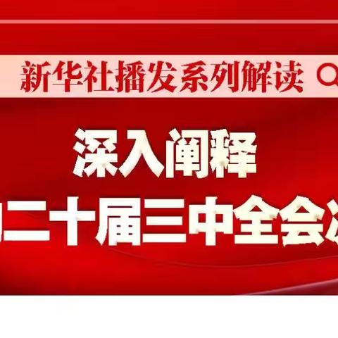 学习贯彻党的二十届三中全会精神 ——  6个关键点！二十届三中全会精神权威解读