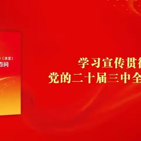 学习《党的二十届三中全会〈决定〉学习辅导百问》