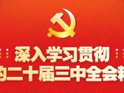 《党课学习心得体会》