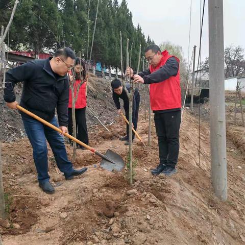 植此青绿是午汲——午汲镇开展3.12植树节活动