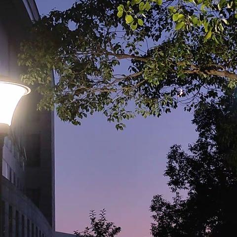 南通市田家炳初级中学七年级学生作文集锦（三）