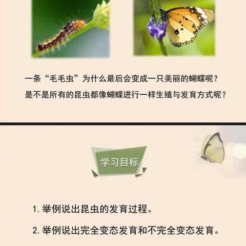 第二实验小学走进探索生物学