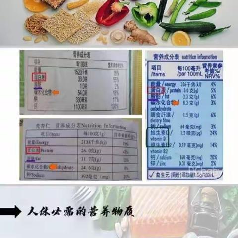 钢城小学万花筒班走进生物学课堂