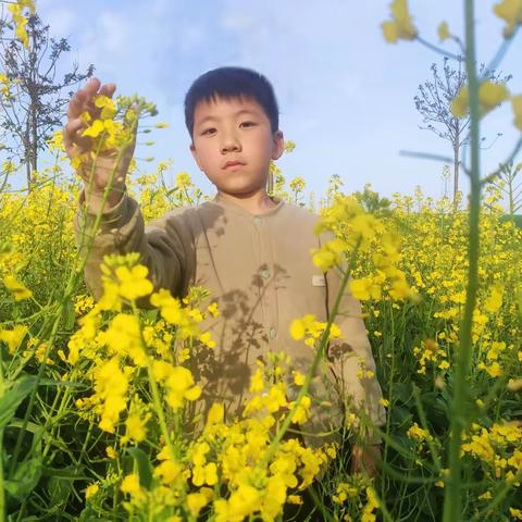 河南油田第五小学103班优秀作文第六期（花花草草 分外妖娆）