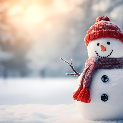 寒风中的温暖守护 ——记丁香小学2307班护学岗