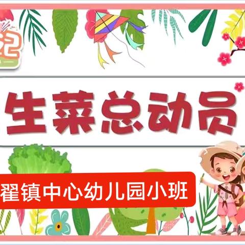 《生菜总动员》---翟镇中心幼儿园小班课程故事