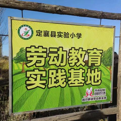 “劳动知不易 实践懂珍惜” 定襄县实验小学劳动实践活动