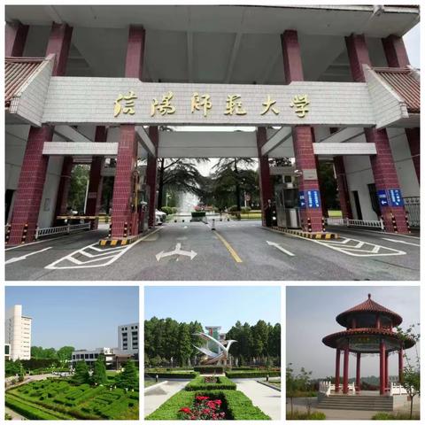 教育路上，有你“培”我——国培省级初中美术骨干教师研修记实