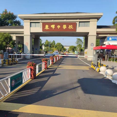 梧桐大道      春晖人间