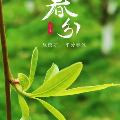 知时节，晓春分